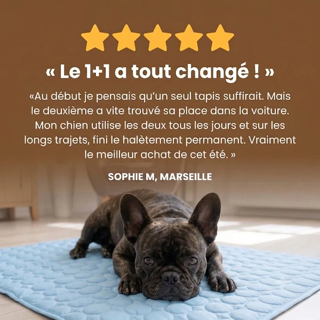 Tapis Rafraîchissant pour chien PlattyPaws