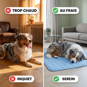 Tapis Rafraîchissant pour chien PlattyPaws