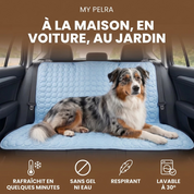 Tapis Rafraîchissant pour chien PlattyPaws