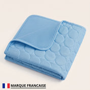 Tapis Rafraîchissant pour chien PlattyPaws