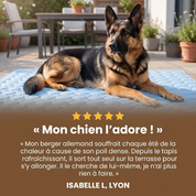 Tapis Rafraîchissant pour chien PlattyPaws