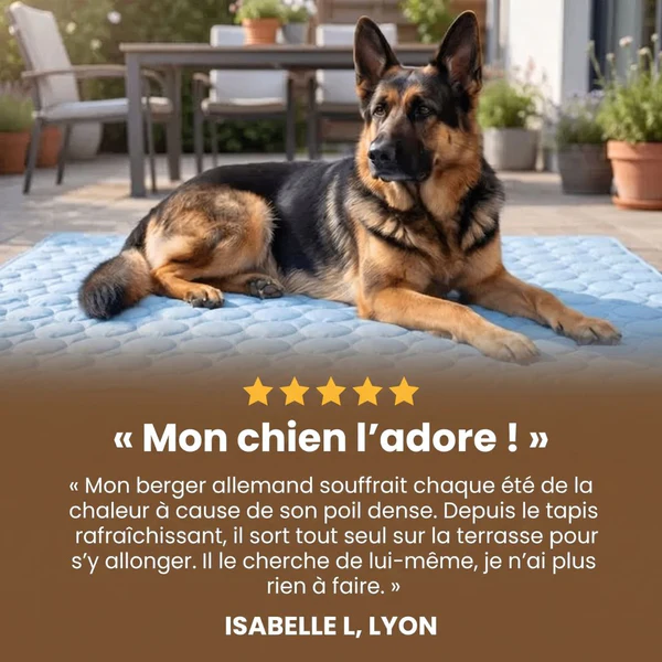 Tapis Rafraîchissant pour chien PlattyPaws